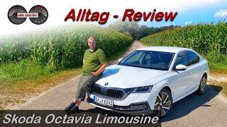 Braucht es da wirklich den Combi? Skoda Octavia 1.5 TSI Limousine im Test | Review - Fahrbericht