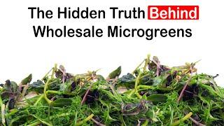 The Hidden Truth Behind Wholesale Microgreens!