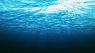 Underwater Screensaver Background Video Loop