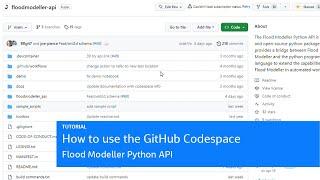 How to use the GitHub Codespace