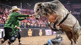 Cody Webster was put on the Earth to fight bulls