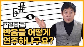 왕초보 칼림바 반음 튜닝 방법, 반음의 이해