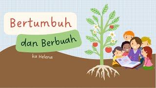 Bertumbuh dan Berbuah | Cerita Alkitab Sekolah Minggu | Markus 4:26-34