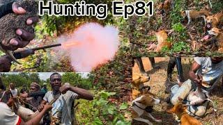 We Caught a live antelope and grasscutter - Emuren Hunters awesome hunting skills - Hunting Ep81