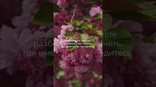КАК ИЗМЕНИТЬ ЛИНИЮ ЖИЗНИ | КАК ПЕРЕХОДИТЬ НА НОВЫЕ ВЕТКИ РЕАЛЬНОСТИ | ЗАДАЕМ РЕАЛЬНОСТЬ