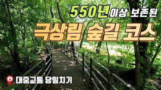 550년 이상 보존된 숲길과 수목원을 지하철과 버스타고 가세요 | 대중교통 당일치기 여행 | 유네스코 산책, 트레킹 코스