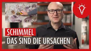 Schimmel - Wie entsteht er? Ursachen und Präventionsmaßnahmen