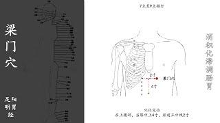 人体穴位052：梁门：消积化滞调肠胃，艾条温和灸梁门穴5～10分钟，1天1次，可改善腹中积气结痛、不思饮食 20211102.mp4