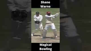 Shane Warne Top Magical Wickets Part-10 #shorts #youtubeshorts #kingwarne #legspin #shanewarne