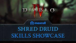 Shred Druid Leveling Skills - Diablo 4