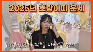 해월신당 2025년 을사년 호랑이띠 나이별 통합 운세