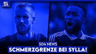 Ist Sylla unverkäuflich? 5 Abgänge geplant? Gespräche mit Bulut! Drexler in die 3. Liga? | S04 NEWS