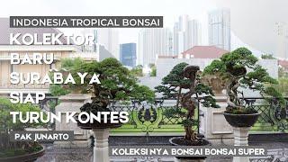 Kolektor Baru dari surabaya yang siap meramaikan arena pameran bonsai nasional indonesia,Pak Junarto
