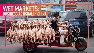 INVESTIGATION: Animal Equality Reveals China's Wet Markets Continue to Operate