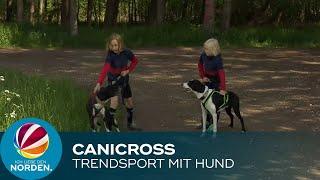 Canicross: Zwei Jungs betreiben Trendsport mit Hund