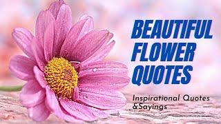 Stop And Smell These Flower Quotes!@Journey2Yourself