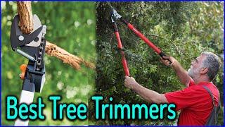 Top 5 Best Tree Trimmers in 2020