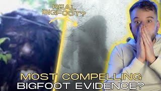 Bigfoot Evidence So Compelling Professionals Are In Disbelief!