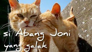 ABANG JONI YANG (baik) GALAK - JONI PART 3