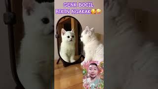 GENK BOCIL BIKIN NGAKAK DEH!!!?? #shortsfeed #funny #comedy #cute #laugh