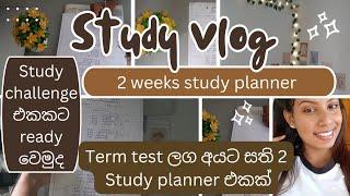 Study vlog|Term test ලග අයට study planner එකක්️|2 weeks study challenge⭐|#studyvlog