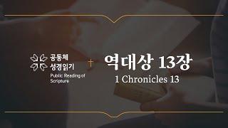 역대상 13장 (개역개정)