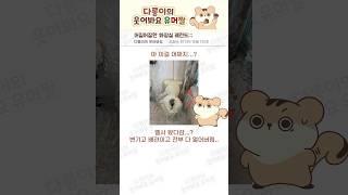어질어질한 화장실 레전드;;; 유머짤 #웃긴동영상 #화장실 #변기
