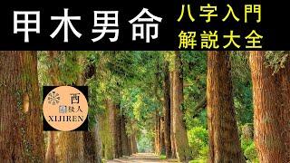 【八字學習天干詳解大全】五行甲木男命格揭秘大全：性格長相特徵、愛情婚配、代表明星！學會如何找到有錢的甲木命格！