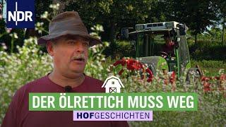 Mulchen & Fräsen im Schneckentempo | Hofgeschichten: Leben auf dem Land (293) | NDR