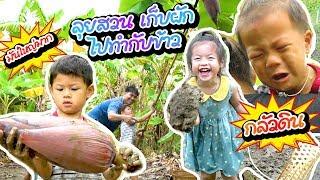 กุมารรายงาน EP14 | ลุยสวน เก็บผัก ไปทำกับข้าว