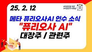 (퓨리오사AI) 메타 퓨리오사AI 인수 소식 "퓨리오사 AI" 대장주 / 관련주