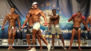 Seyedemadoddin Kazemzadeh Vatani – Men Tall Sports Model - WFF World Championship 2017