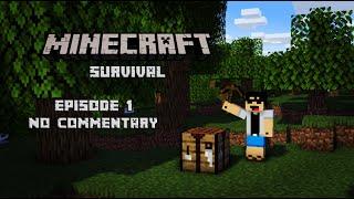 Minecraft Survival Gameplay Episode 1 (No Commentary)