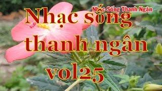 LK Tình Yêu Borero Trữ Tình - Nhạc Sống Thanh Ngân Vol 25