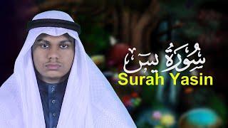 Surah Yasin Qari Mahmudul Hasan Ashrafi محمود الحسن اشرفي سورۃ یس