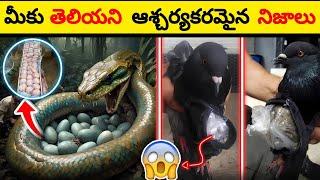 Top 100 Interesting Facts In Telugu | Facts In Telugu new | Telugu Facts Interesting | Facts Forever