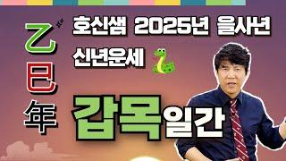 호신샘 2025년 을사년 신년운세  갑목일간