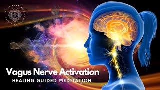 Vagus Nerve Activation, Healing Guided Meditation