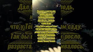 Заговор для доброго урожая.#shorts #magic #garden #gardening #harvest #магия #заговор