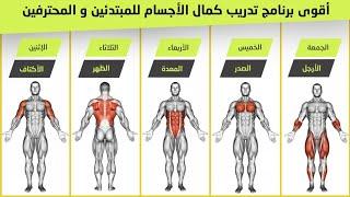 أقوى برنامج تدريب لمدة اسبوع كامل للمبتدئين و المحترفين | خطة تدريبية  لبناء العضلات