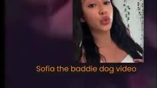 Sofia the baddie dog video - sofiathebaddie twitter video