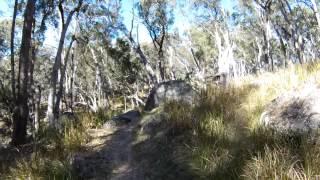 Walking the Blue Hole (Threlfall) Loop near Armidale