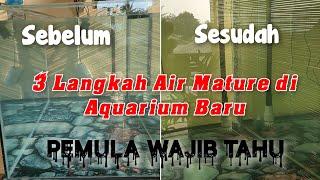 Treatment Aquarium Baru Sampai Air Mature