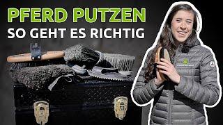 Pferde putzen – Wie putzt man ein Pferd richtig?