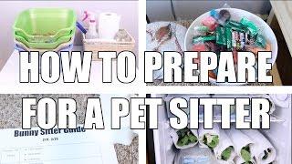 How to Prepare For a Pet Sitter