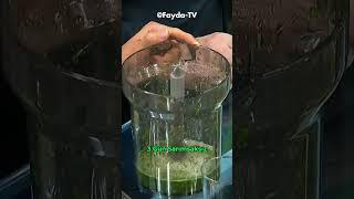 Maydanoz Limon Sarımsak Kürü Nasıl Yapılır  #ibrahimsaraçoğlu #şifalıbitkiler #faydatv