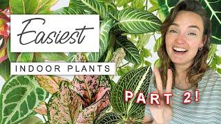 EASIEST Houseplants Part 2  The Easiest, Lowest Maintenance Indoor Plants