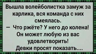 Женился Карлик На Дылде! Сборник Свежих Анекдотов! Юмор! Позитив!