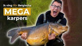 De GROOTSTE KARPERS van BELGIE (veel 20kg+) | Michiel Pilaar