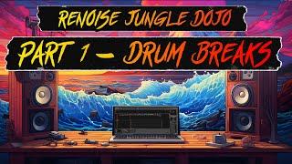 Renoise Beginners (90's Jungle from Scratch)